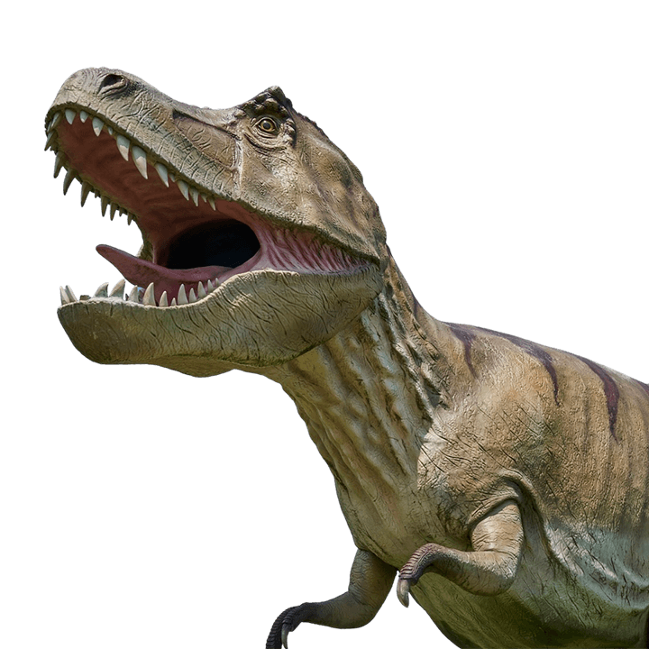 Dinosaurio Bolivia 1